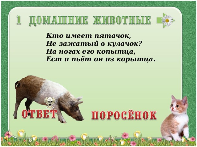 Кто имеет пятачок, Не зажатый в кулачок? На ногах его копытца ,  Ест и пьёт он из корытца. 3