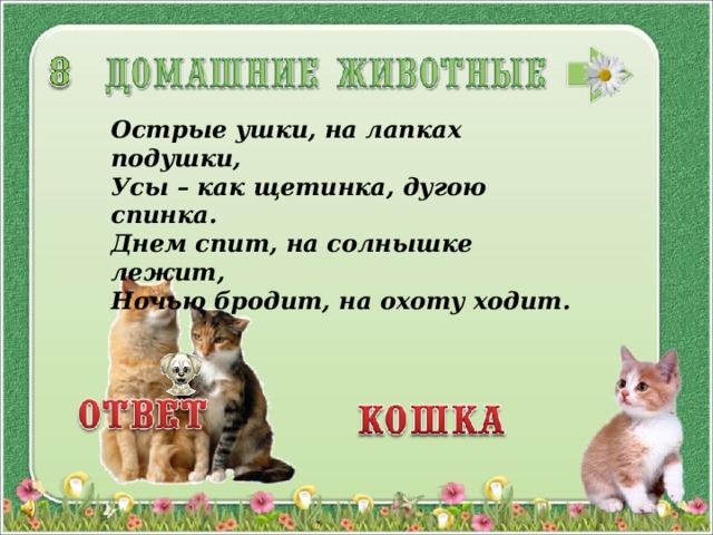 Острые ушки, на лапках подушки,  Усы – как щетинка, дугою спинка.  Днем спит, на солнышке лежит,  Ночью бродит, на охоту ходит. 3