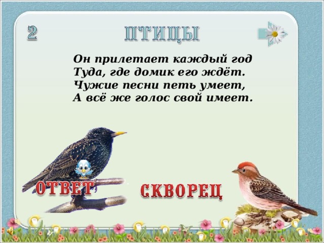 Он прилетает каждый год  Туда, где домик его ждёт.  Чужие песни петь умеет,  А всё же голос свой имеет. 3