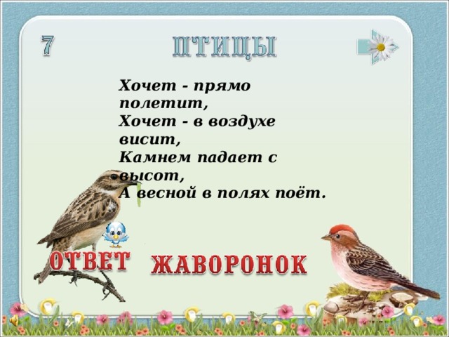 Хочет - прямо полетит,  Хочет - в воздухе висит,  Камнем падает с высот,  А весной в полях поёт.