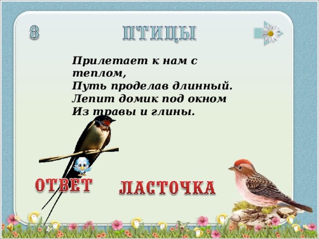 Прилетает к нам с теплом,  Путь проделав длинный.  Лепит домик под окном  Из травы и глины.