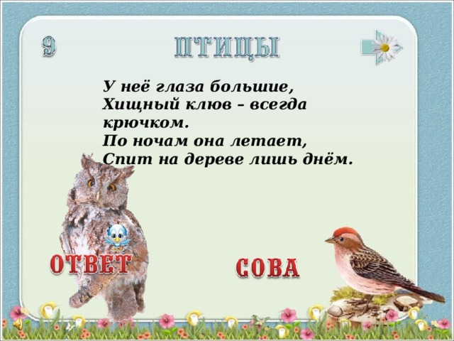 У неё глаза большие,  Хищный клюв – всегда крючком.  По ночам она летает,  Спит на дереве лишь днём.