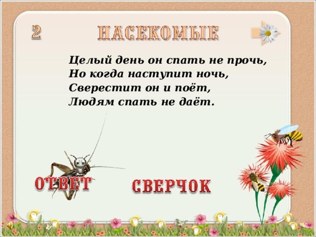 Целый день он спать не прочь, Но когда наступит ночь, Сверестит он и поёт, Людям спать не даёт.