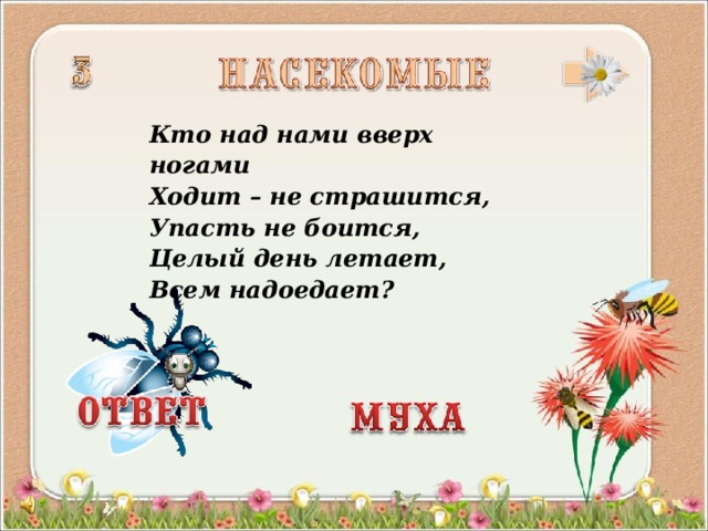 Кто над нами вверх ногами Ходит – не страшится, Упасть не боится, Целый день летает, Всем надоедает?