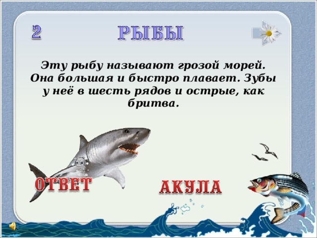 Эту рыбу называют грозой морей.  Она большая и быстро плавает. Зубы у неё в шесть рядов и острые, как бритва.