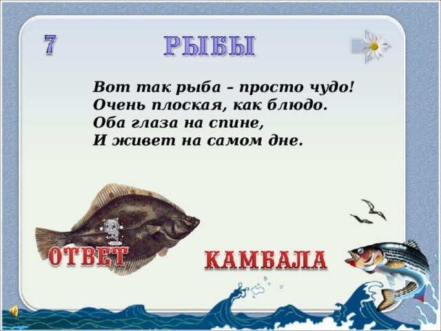 Вот так рыба – просто чудо!  Очень плоская, как блюдо.  Оба глаза на спине,  И живет на самом дне.