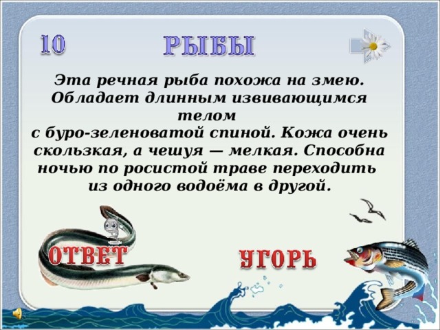 Эта речная рыба похожа на змею. Обладает длинным извивающимся телом с буро-зеленоватой спиной. Кожа очень скользкая, а чешуя — мелкая. Способна ночью по росистой траве переходить из одного водоёма в другой. 3