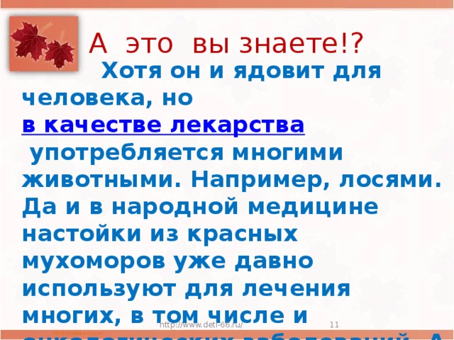 А это вы знаете!?  Хотя он и ядовит для человека, но  в качестве лекарства  употребляется многими животными. Например, лосями. Да и в народной медицине настойки из красных мухоморов уже давно используют для лечения многих, в том числе и онкологических заболеваний. А еще – от радикулита, ревматизма, подагры.  http://www.deti-66.ru/