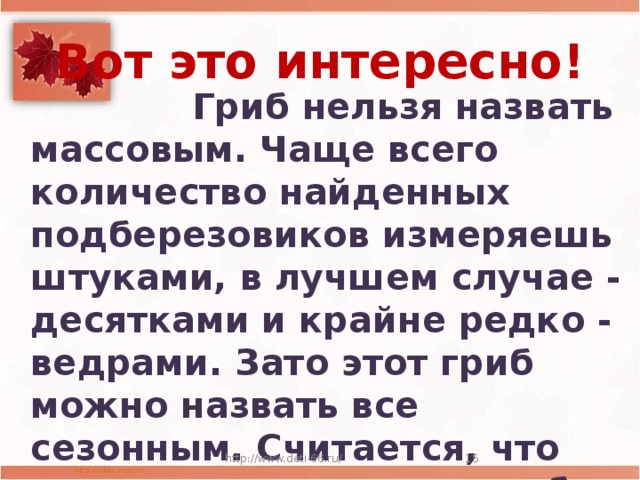 Вот это интересно!  Гриб нельзя назвать массовым. Чаще всего количество найденных подберезовиков измеряешь штуками, в лучшем случае - десятками и крайне редко - ведрами. Зато этот гриб можно назвать все сезонным. Считается, что растет он с июля по октябрь. http://www.deti-66.ru/