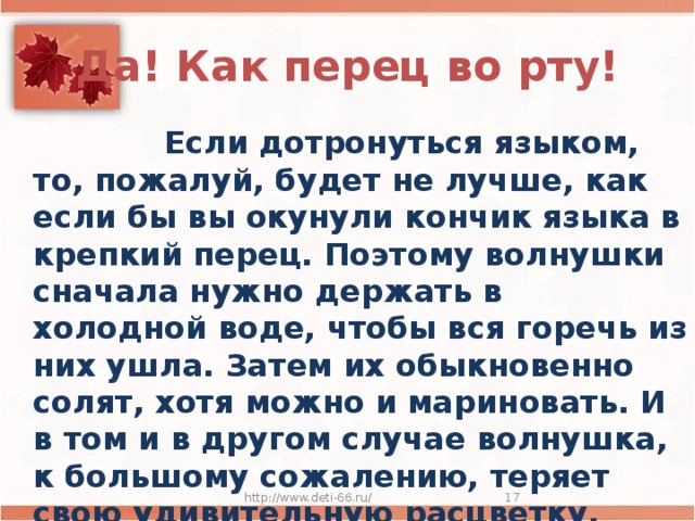 Да! Как перец во рту!  Если дотронуться языком, то, пожалуй, будет не лучше, как если бы вы окунули кончик языка в крепкий перец. Поэтому волнушки сначала нужно держать в холодной воде, чтобы вся горечь из них ушла. Затем их обыкновенно солят, хотя можно и мариновать. И в том и в другом случае волнушка, к большому сожалению, теряет свою удивительную расцветку. Она становится просто серой http://www.deti-66.ru/