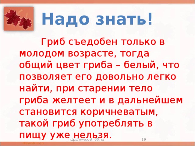 Надо знать!  Гриб съедобен только в молодом возрасте, тогда общий цвет гриба – белый, что позволяет его довольно легко найти, при старении тело гриба желтеет и в дальнейшем становится коричневатым, такой гриб употреблять в пищу уже нельзя. http://www.deti-66.ru/