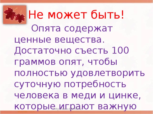 Не может быть!  Опята содержат ценные вещества. Достаточно съесть 100 граммов опят, чтобы полностью удовлетворить суточную потребность человека в меди и цинке, которые играют важную роль в кроветворении. http://www.deti-66.ru/