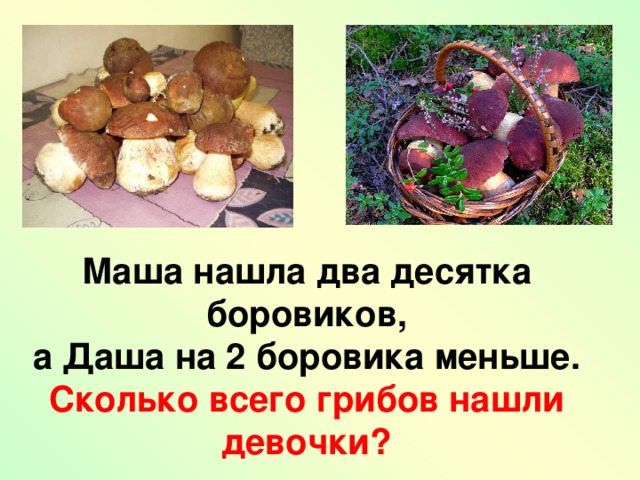 Маша нашла два десятка боровиков, а Даша на 2 боровика меньше. Сколько всего грибов нашли девочки?