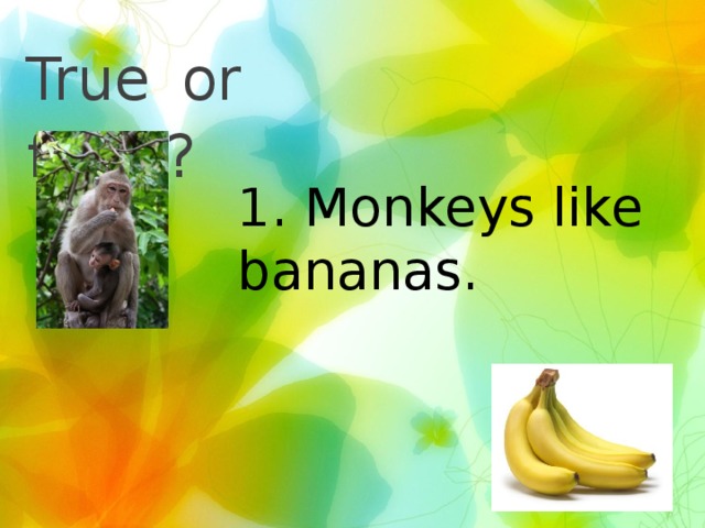 True  or false? 1. Monkeys like bananas.