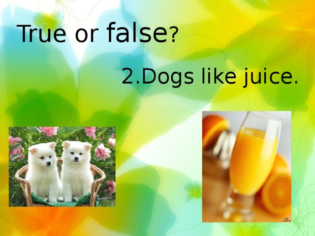 True or false ? 2.Dogs like juice.