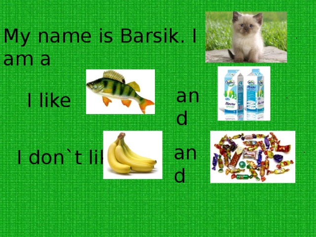 My name is Barsik. I am a . and I like . and I don`t like .