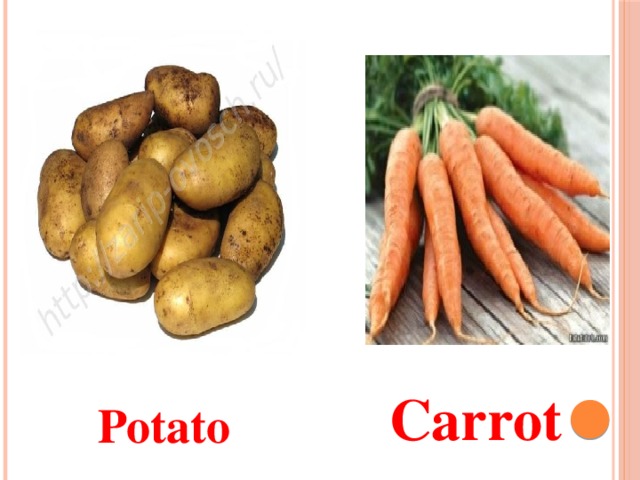 Potato   Carrot
