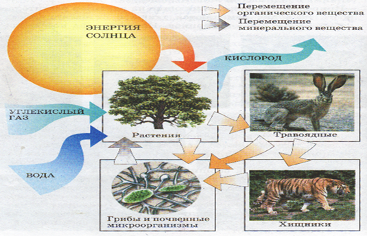 Нарисовать природные комплексы