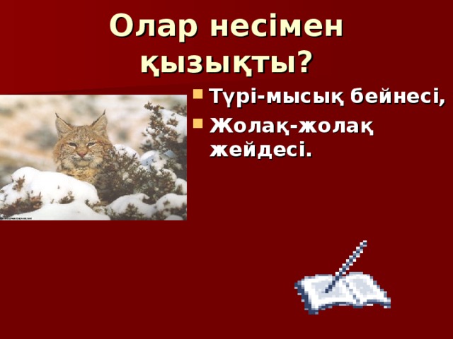 Олар несімен қызықты? Түрі-мысық бейнесі, Жолақ-жолақ жейдесі.