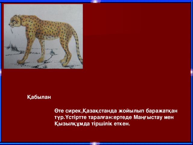 Қабылан Өте сирек,Қазақстанда жойылып баражатқан түр.Үстіртте таралған:ертеде Маңғыстау мен Қызылқұмда тіршілік еткен.