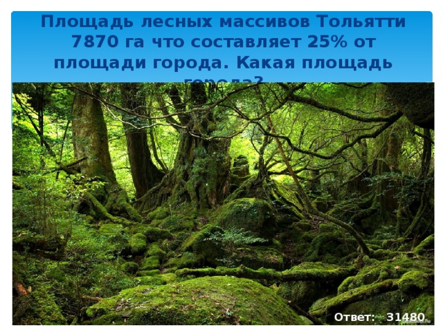 Площадь лесных массивов Тольятти 7870 га что составляет 25% от площади города. Какая площадь города?   Ответ: 31480 га