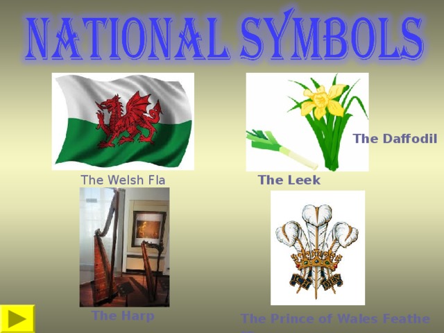 The Daffodil The Leek The Welsh Flag The Harp The Prince of Wales Feathers