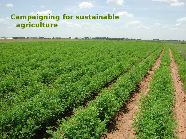 Campaigning for sustainable agriculture