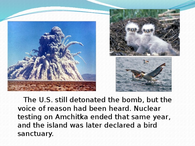 The U.S. still detonated the bomb, but the voice of reason had been heard. Nuclear testing on Amchitka ended that same year, and the island was later declared a bird sanctuary.