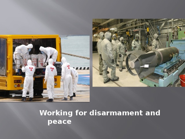 Working for disarmament and peace  