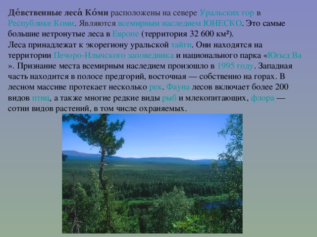 Де́вственные леса́ Ко́ми расположены на севере Уральских гор в Республике Коми . Являются всемирным наследием  ЮНЕСКО . Это самые большие нетронутые леса в Европе (территория 32 600 км²). Леса принадлежат к экорегиону уральской тайги . Они находятся на территории Печоро-Илычского заповедника и национального парка « Югыд Ва ». Признание места всемирным наследием произошло в 1995 году . Западная часть находится в полосе предгорий, восточная — собственно на горах. В лесном массиве протекает несколько рек . Фауна лесов включает более 200 видов птиц , а также многие редкие виды рыб и млекопитающих, флора — сотни видов растений, в том числе охраняемых.