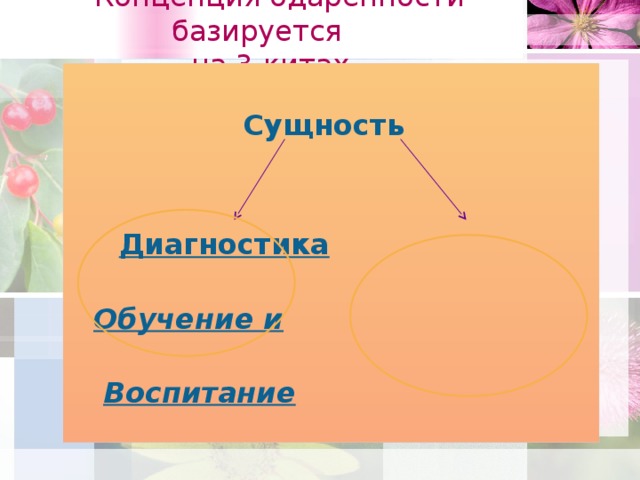 Концепция одаренности базируется   на 3 китах   Сущность       Диагностика   Обучение и   Воспитание