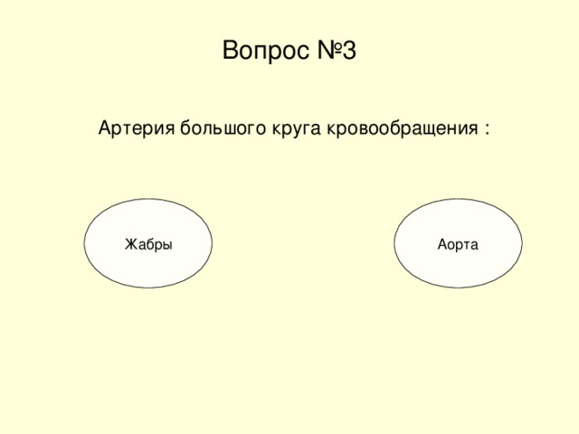 Вопрос №3 Артерия большого круга кровообращения : Аорта Жабры