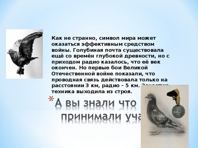 Как не странно, символ мира может оказаться эффективным средством войны. Голубиная почта существовала ещё со времён глубокой древности, но с приходом радио казалось, что её век окончен. Но первые бои Великой Отечественной войне показали, что проводная связь действовала только на расстоянии 3 км, радио – 5 км. Зачастую техника выходила из строя. 