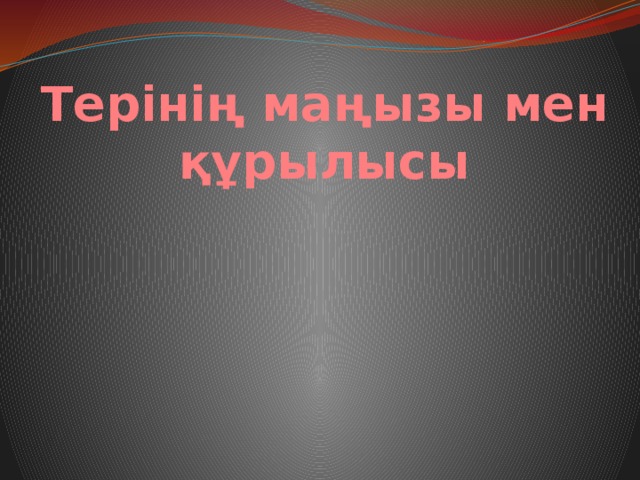 Терінің маңызы мен құрылысы