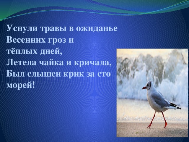 Уснули травы в ожиданье  Весенних гроз и тёплых дней,  Летела чайка и кричала,  Был слышен крик за сто морей!