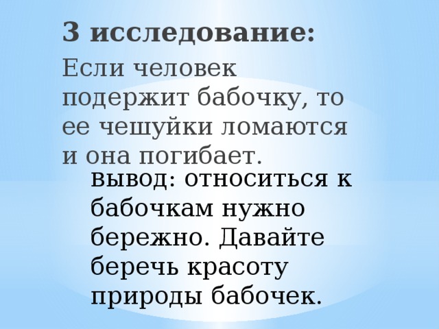 3 исследование: Если человек подержит бабочку, то ее чешуйки ломаются и она погибает. в ывод: относиться к бабочкам нужно бережно. Давайте беречь красоту природы бабочек.