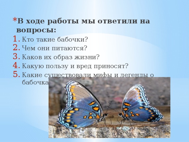 В ходе работы мы ответили на вопросы: Кто такие бабочки? Чем они питаются? Каков их образ жизни? Какую пользу и вред приносят? Какие существовали мифы и легенды о бабочках?