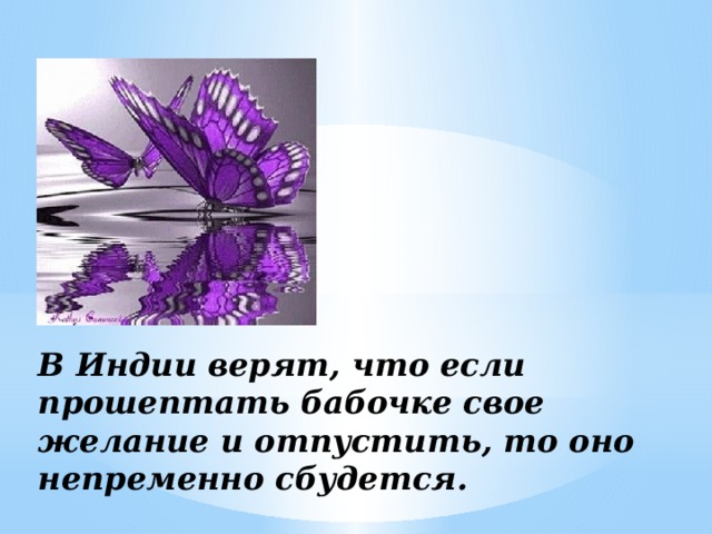 В Индии верят, что если прошептать бабочке свое желание и отпустить, то оно непременно сбудется.