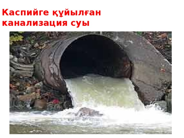 Каспийге құйылған канализация суы