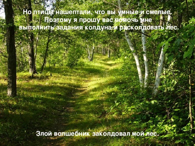 Но птицы нашептали, что вы умные и смелые. Поэтому я прошу вас помочь мне  выполнить задания колдуна и расколдовать лес. Злой волшебник заколдовал мой лес.