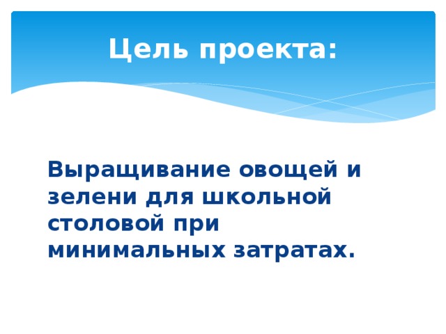 Цель проекта: Выращивание овощей и зелени для школьной столовой при минимальных затратах.