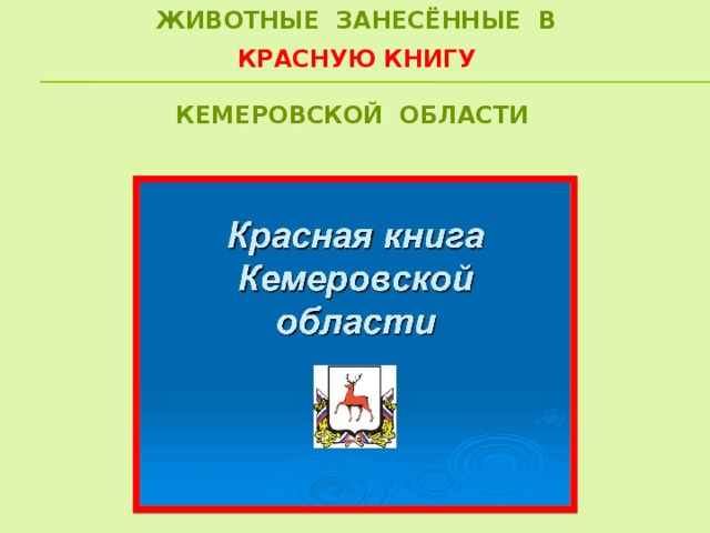 Животные занесённые в    красную книгу   кемеровской области