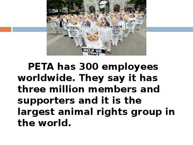 PETA has 300 employees worldwide. They say it has three million members and supporters and it is the largest animal rights group in the world. 