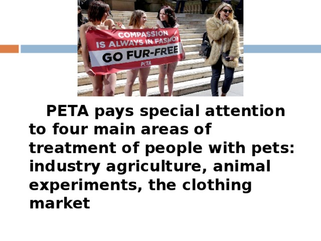 PETA pays special attention to four main areas of treatment of people with pets: industry agriculture, animal experiments, the clothing market