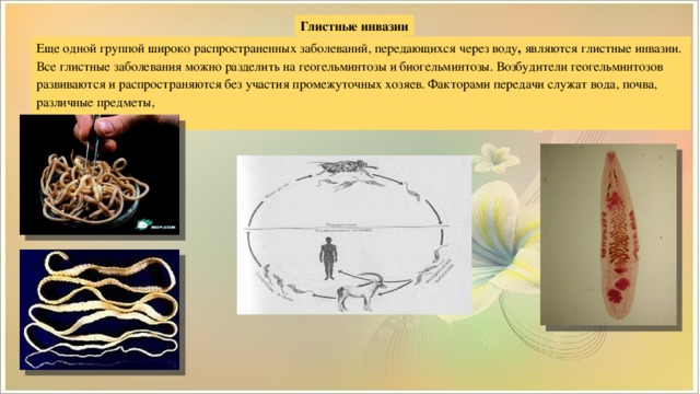 Глистные инвазии Еще одной группой широко распространенных заболеваний, передающихся через воду ,  являются глистные инвазии. Все глистные заболевания можно разделить на геогельминтозы и биогельминтозы. Возбудители геогельминтозов развиваются и распространяются без участия промежуточных хозяев. Факторами передачи служат вода, почва, различные предметы,