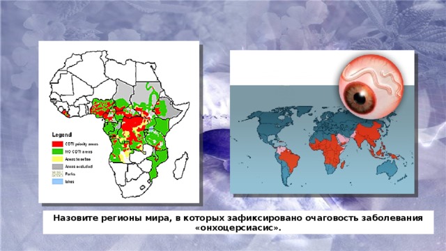Назовите регионы мира, в которых зафиксировано очаговость заболевания «онхоцерсиасис».