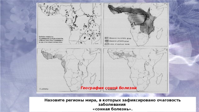 География соной болезни Назовите регионы мира, в которых зафиксировано очаговость заболевания «сонная болезнь».