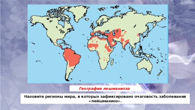 География лешманиоза Назовите регионы мира, в которых зафиксировано очаговость заболевания «лейшманиоз».