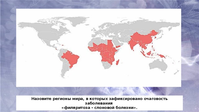Назовите регионы мира, в которых зафиксировано очаговость заболевания «филяритоза - слоновой болезни».