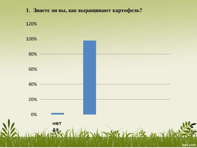 Знаете ли вы, как выращивают картофель?